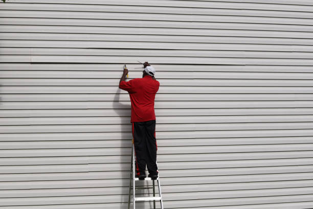 Best Historical Building Siding Restoration  in Northlake, IL